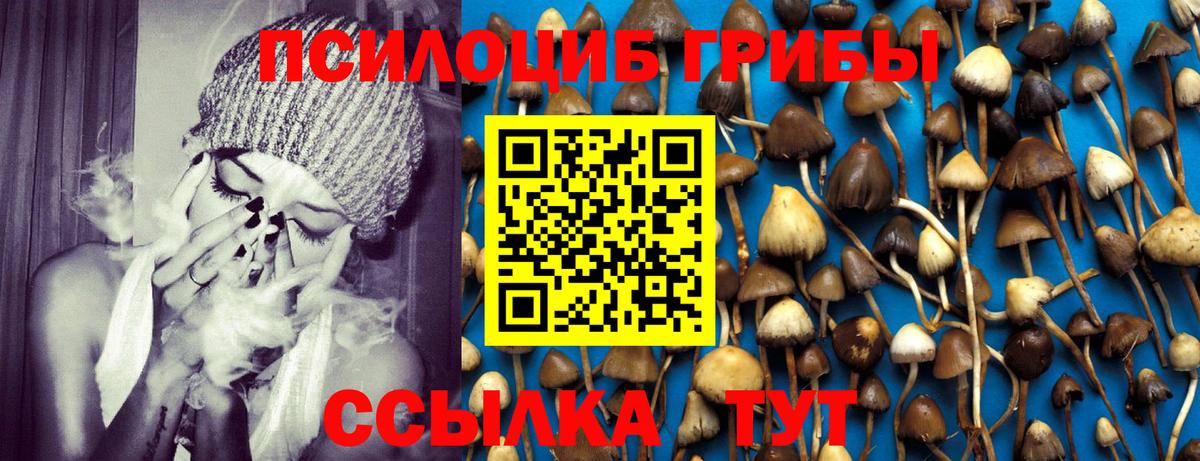 Псилоцибиновые грибы мицелий Киров